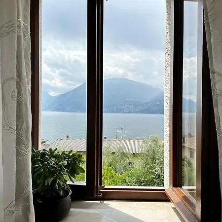 Antonia By Gardadoma